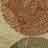 Our Area Rug Cleaning Process: Shaw Area Rugs