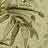 Our Area Rug Cleaning Process: Tropical Area Rugs