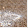 Area Rug Deodorizing and Sanitizing
