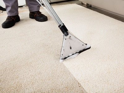 Carpet cleaning services for homes in Palm Coast, FL